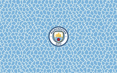 熊猫电竞-加布里埃尔这防守英超独一档